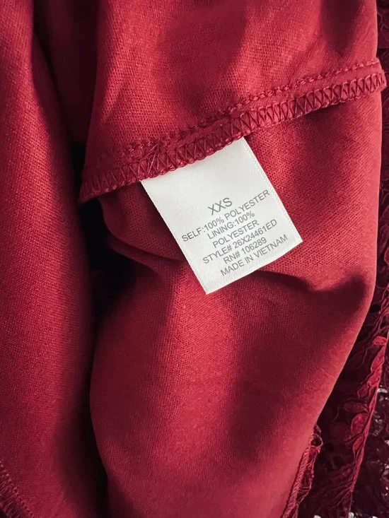 Francesca’s x Mi Ami Lace Dress - Picture 4 of 5